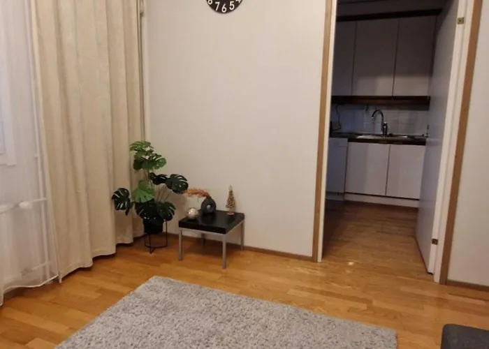 Kotoisa Kaksio Levaehdae Taeaellae Ja Parkki 아파트