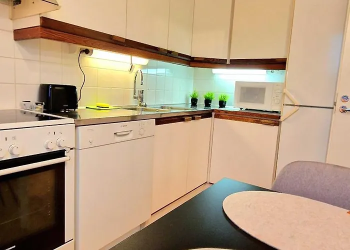 Kotoisa Kaksio Levaehdae Taeaellae Ja Parkki 아파트